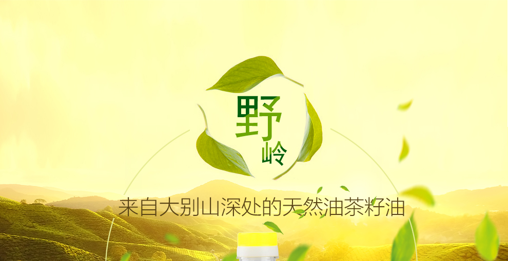 綠色壓榨油茶籽油500MLx2(圖1)